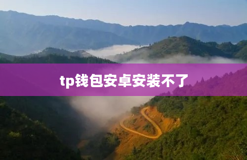 tp钱包安卓安装不了