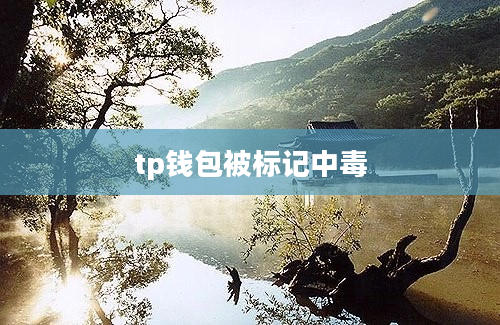 tp钱包被标记中毒