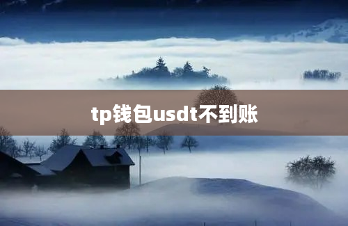 tp钱包usdt不到账