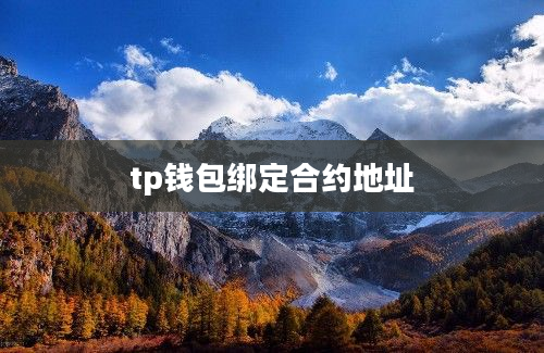 tp钱包绑定合约地址