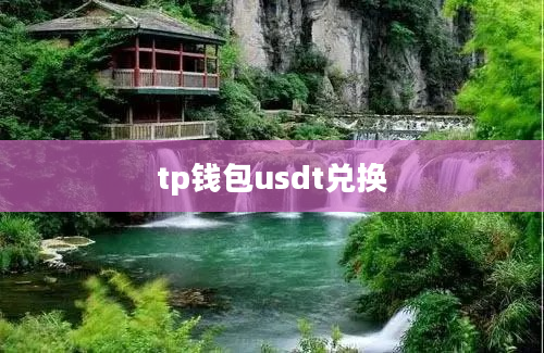 tp钱包usdt兑换