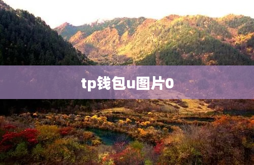 tp钱包u图片0