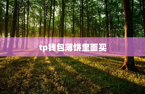 tp钱包薄饼里面买