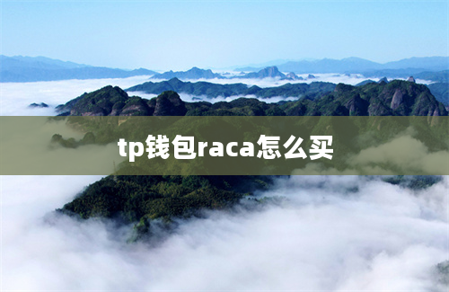 tp钱包raca怎么买