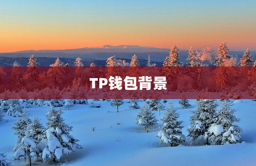 TP钱包背景