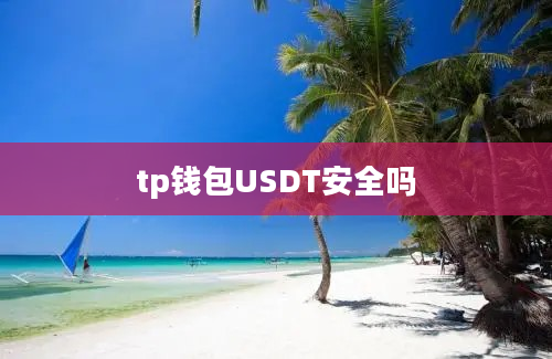 tp钱包USDT安全吗