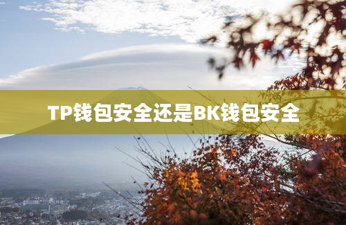 TP钱包安全还是BK钱包安全