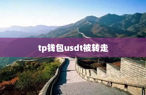 tp钱包usdt被转走