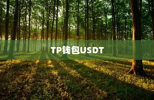 TP钱包USDT