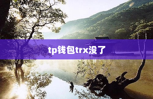 tp钱包trx没了