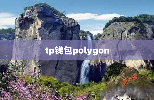 tp钱包polygon