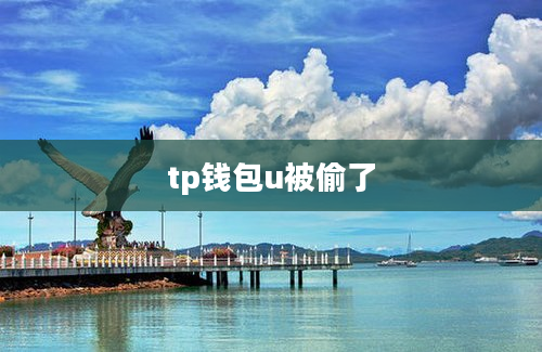 tp钱包u被偷了