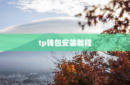 tp钱包安装教程