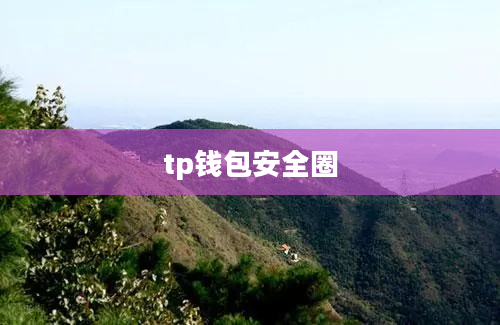 tp钱包安全圈