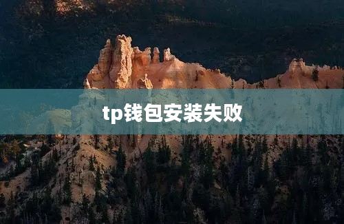 tp钱包安装失败
