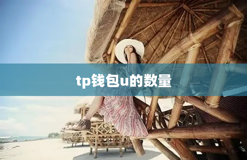 tp钱包u的数量