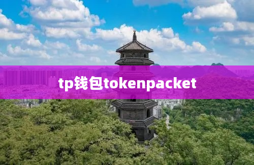 tp钱包tokenpacket