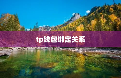 tp钱包绑定关系