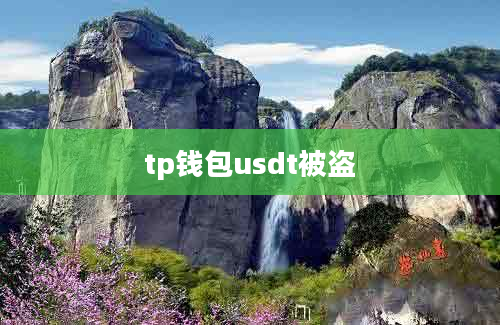 tp钱包usdt被盗