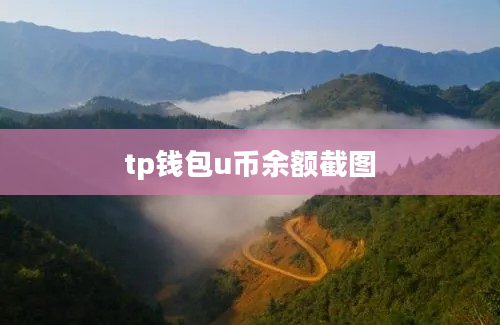 tp钱包u币余额截图