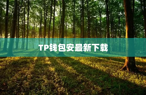 TP钱包安最新下载
