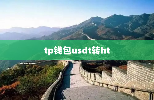 tp钱包usdt转ht