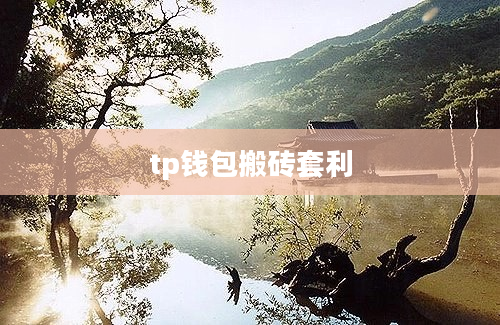 tp钱包搬砖套利