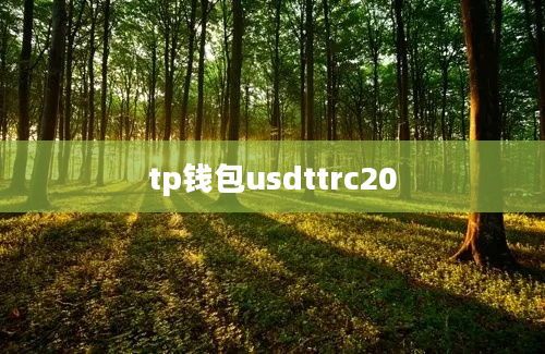 tp钱包usdttrc20