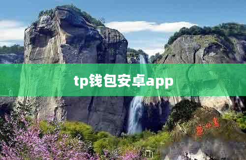 tp钱包安卓app