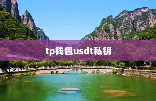 tp钱包usdt私钥