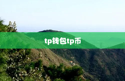 tp钱包tp币
