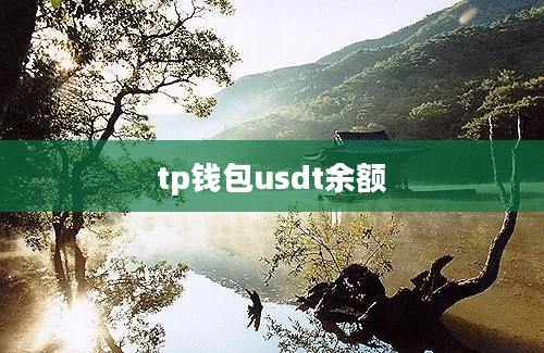 tp钱包usdt余额