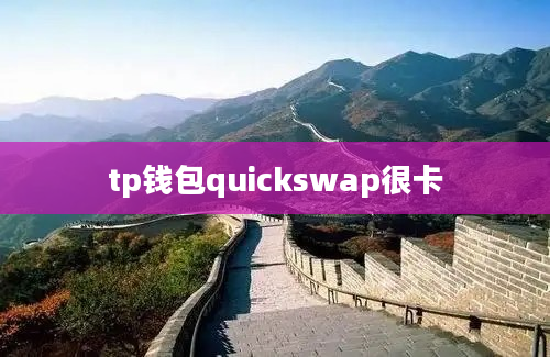 tp钱包quickswap很卡