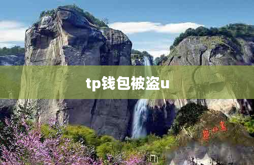 tp钱包被盗u