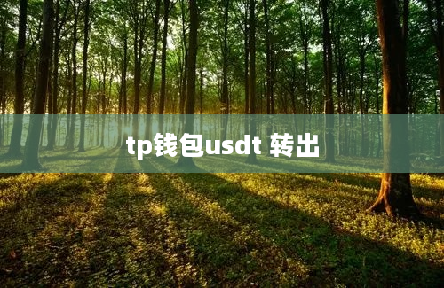 tp钱包usdt 转出