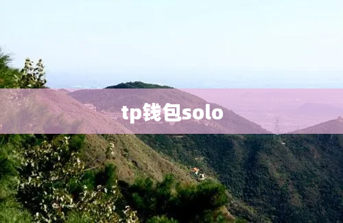 tp钱包solo