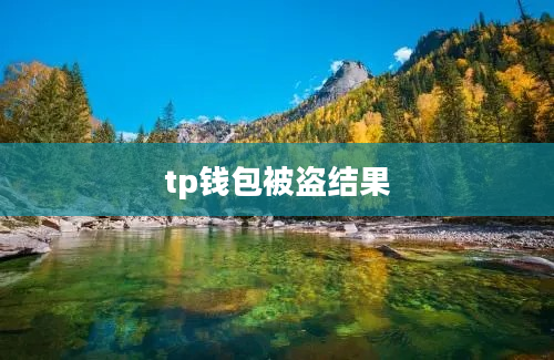 tp钱包被盗结果