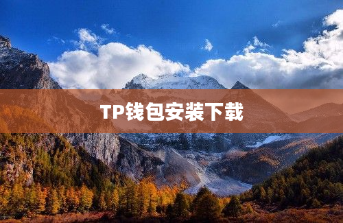 TP钱包安装下载