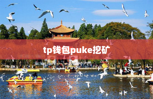 tp钱包puke挖矿