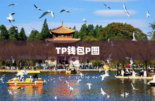 TP钱包P图