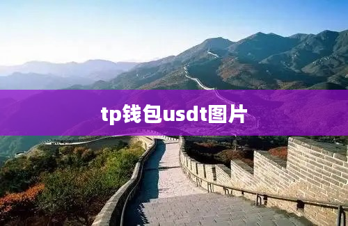 tp钱包usdt图片