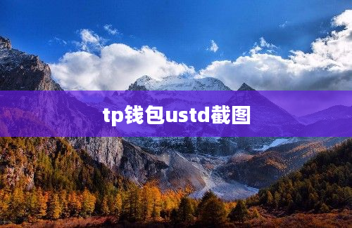 tp钱包ustd截图