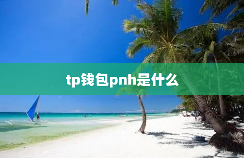 tp钱包pnh是什么