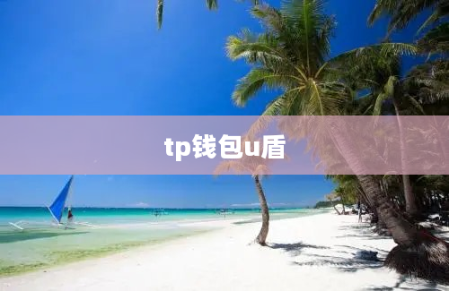 tp钱包u盾
