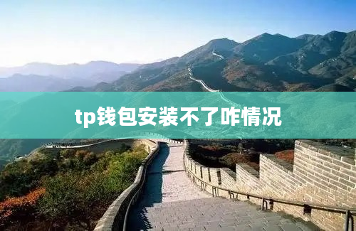 tp钱包安装不了咋情况