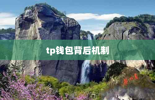 tp钱包背后机制