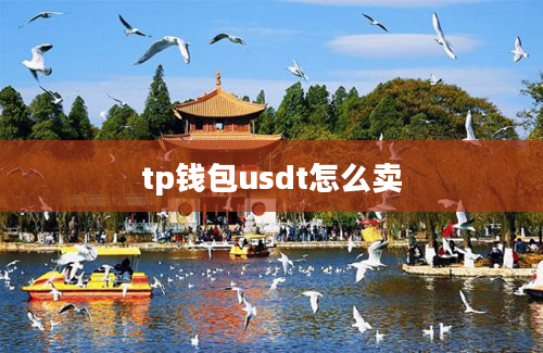 tp钱包usdt怎么卖