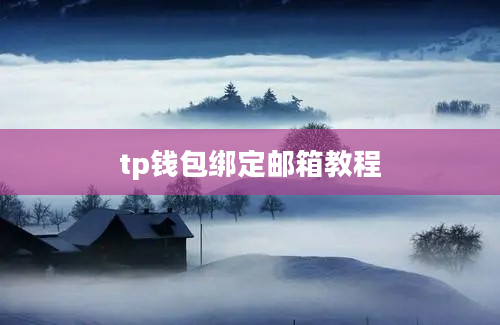 tp钱包绑定邮箱教程