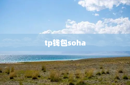 tp钱包soha