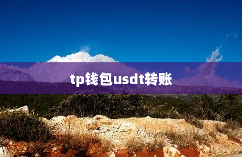 tp钱包usdt转账